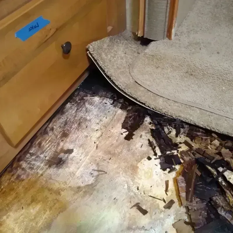 Wood Floor Water Damage in Richmond County, GA